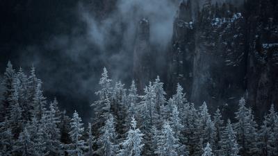 Trees rocks fog 4k wallpaper