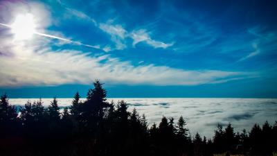 Trees sky clouds 4k wallpaper