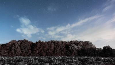 Trees sky stars clouds 4k wallpaper