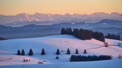 Trees snow mountains 4k wallpaper