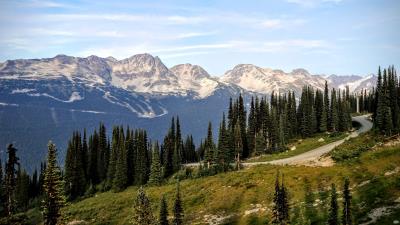 Trees spruce mountains image 4k wallpaper