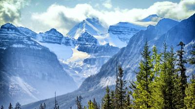 Trees spruce mountains 4k wallpaper