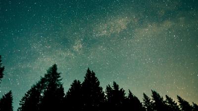 Trees starry sky stars space 4k wallpaper