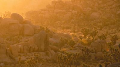 Trees stones rocks 4k wallpaper