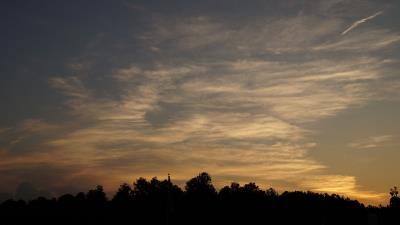 Trees sunset clouds 4k wallpaper