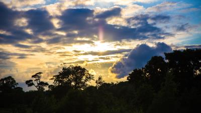 Trees sunset sky clouds 4k wallpaper