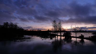 Trees sunset sky h 4k wallpaper
