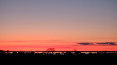 Trees twilight horizon 4k wallpaper