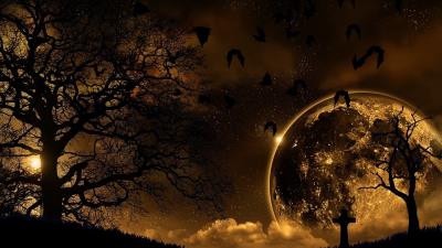 trees nature night planet birds landscape 4k wallpaper