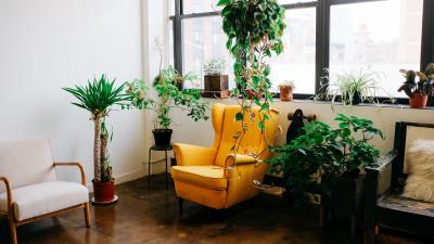 Room furniture flowers 4k wallpaper