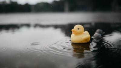Rubber duck duck toy image 4k wallpaper