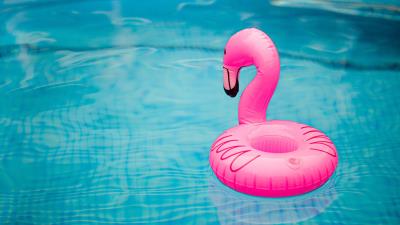 Rubber ring flamingo pool 4k wallpaper