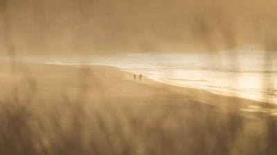 Sea beach silhouettes 4k wallpaper
