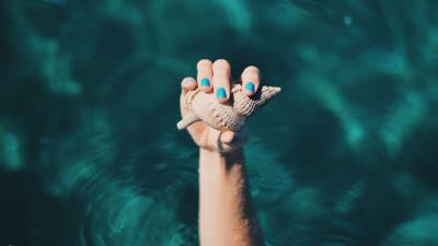 Shell hand water image 4k wallpaper