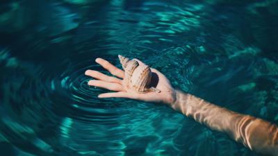 Shell hand water 4k wallpaper