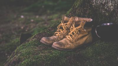 Shoes moss shoes 4k wallpaper