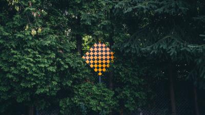 Sign forest trees 4k wallpaper