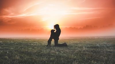 Silhouette dog man field fog 4k wallpaper