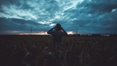 Silhouette field dark 4k wallpaper