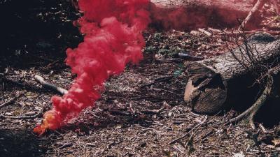 Smoke red branches 4k wallpaper