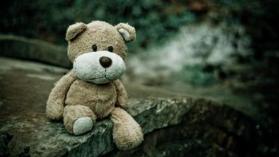 Soft toy teddy bear bear 4k wallpaper