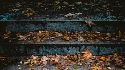 Stairs leaves autumn 4k wallpaper