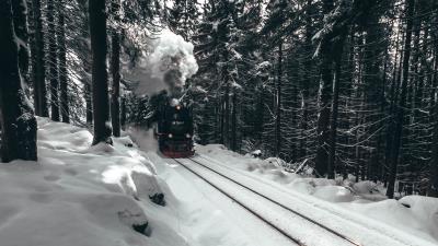 Steam engine train forest 4k wallpaper