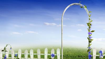 Tale drawing fence gates flower 4k wallpaper