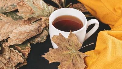 Tea cup autumn 4k wallpaper