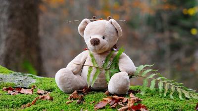 Teddy bear bear toy grass 4k wallpaper