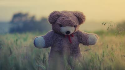 Teddy bear toy grass image 4k wallpaper