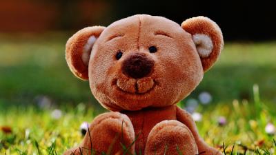 Teddy bear toy grass 4k wallpaper