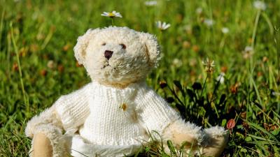 Teddy bear toy jacket grass 4k wallpaper