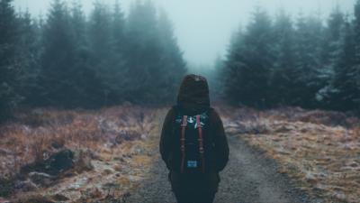 Tourist walk backpack forest fog 4k wallpaper