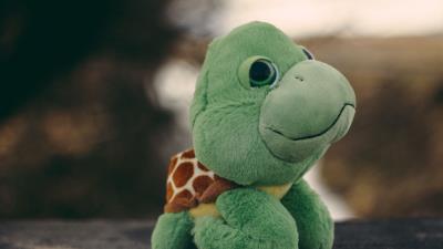 Toy turtle plush 4k wallpaper