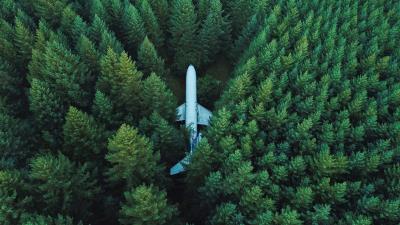 Airplane trees top view 4k wallpaper