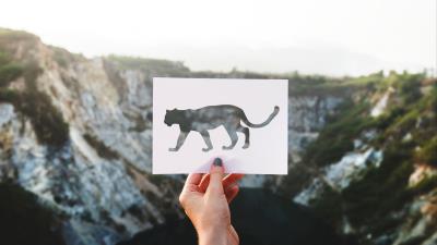 Art leaf leopard hand 4k wallpaper