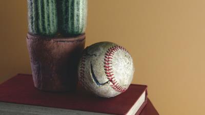 Ball cactus books 4k wallpaper