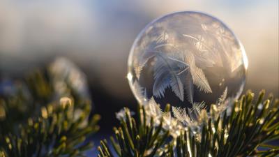 Ball hoarfrost fir branch close up 4k wallpaper
