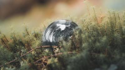 Ball reflection trees 4k wallpaper