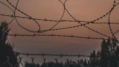 Barbed wire fencing barbed 4k wallpaper