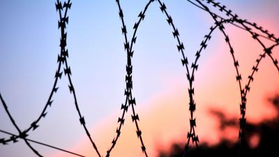 Barbed wire netting fencing 4k wallpaper
