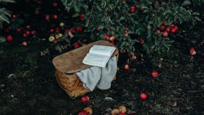 Basket book apples harvest 4k wallpaper