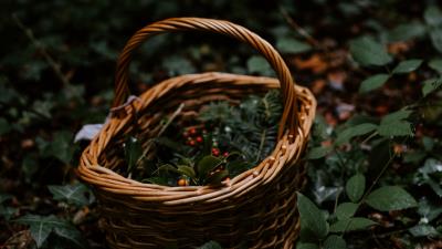 Basket wicker berries 4k wallpaper