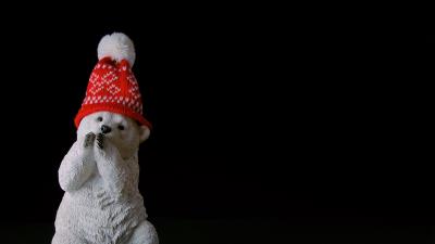 Bear statuette hat 4k wallpaper