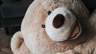 Bear toy plush 4k wallpaper