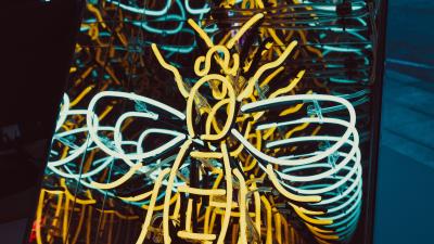 Bee neon light form 4k wallpaper