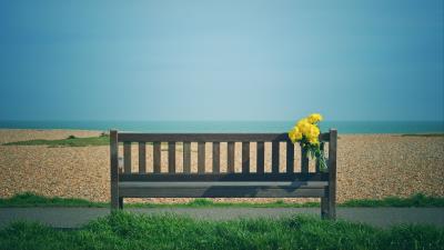 Bench bouquet flowers 4k wallpaper