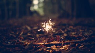 Bengal fire foliage sparks 4k wallpaper