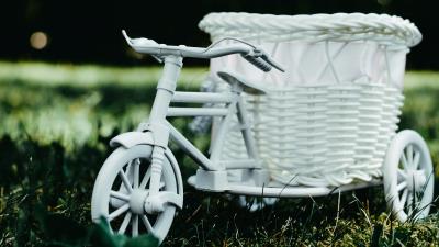 Bicycle basket decorative 4k wallpaper